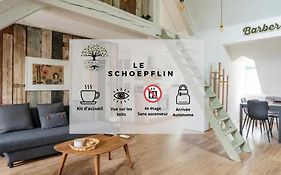 Le Schoepflin - Coeur De Strasbourg - Vue Toits