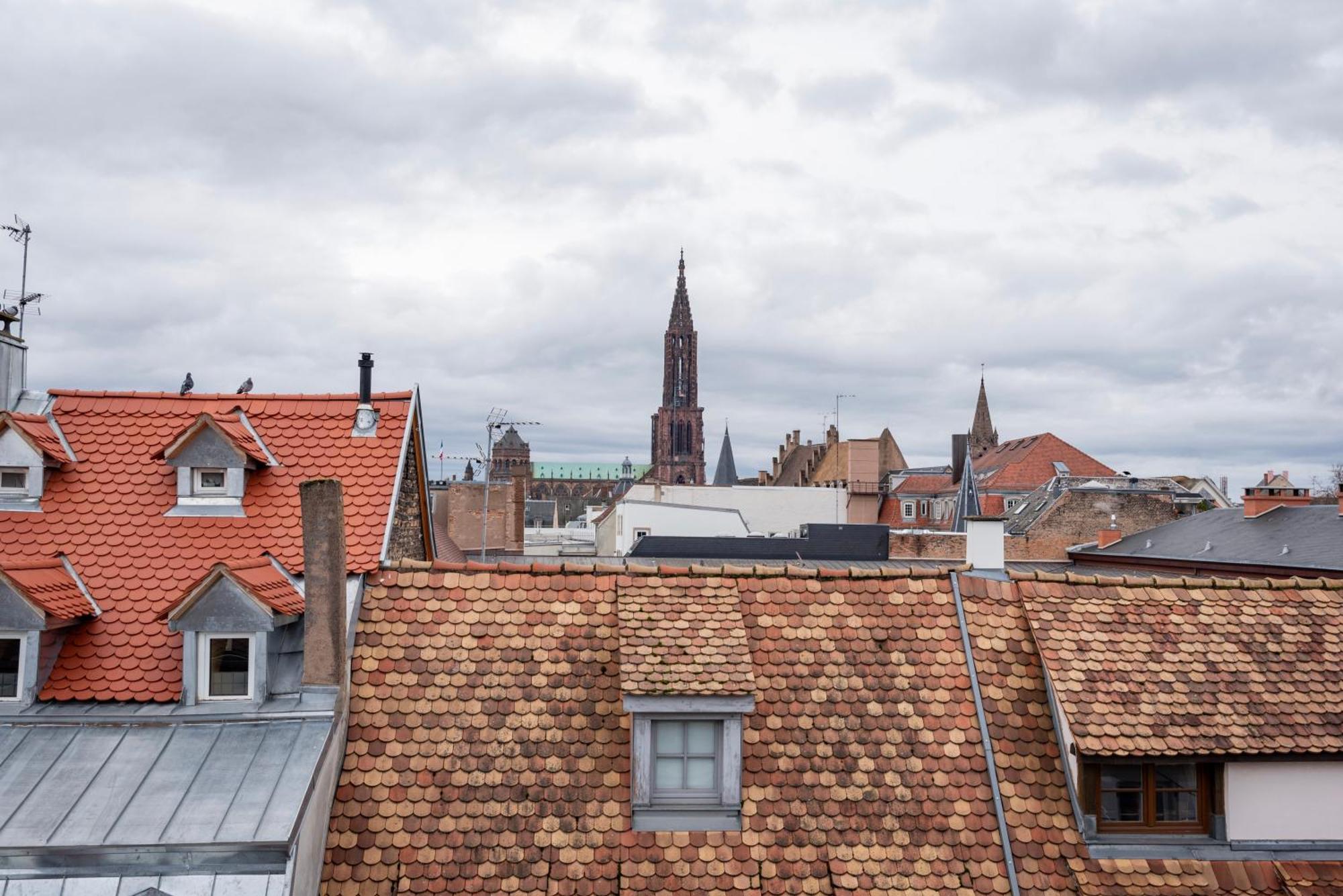 Le Schoepflin - Coeur De Strasbourg - Vue Toits Esterno foto